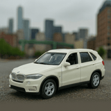 Auto BMW Xs Escala 1:60 - Welly - Toyng Chile