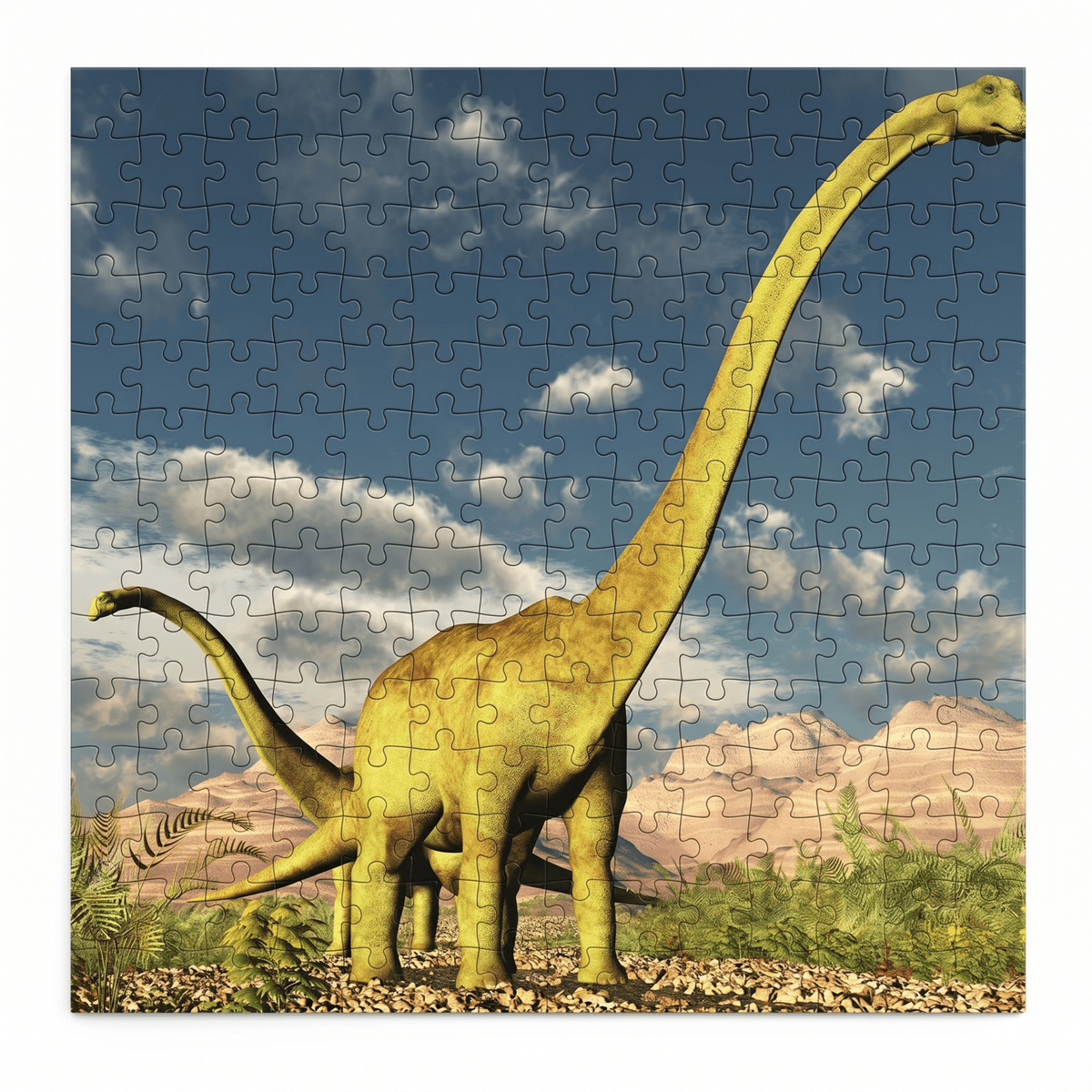 png_1500x1500_73410782