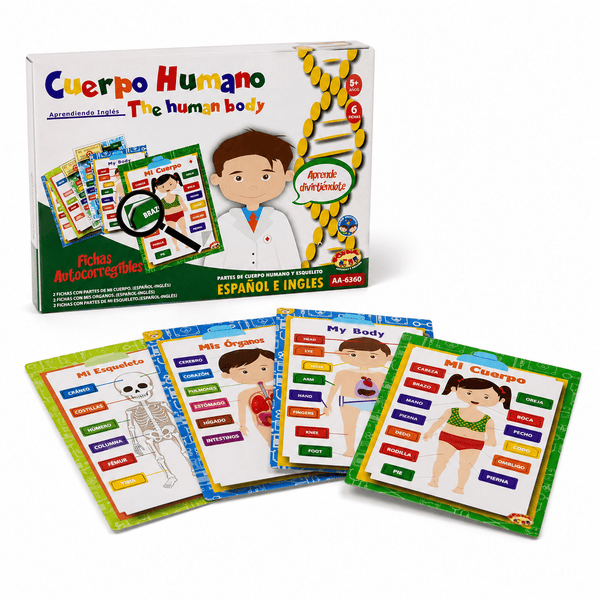 Juego Educativo Cuerpo Humano - Toyng - Toyng Chile