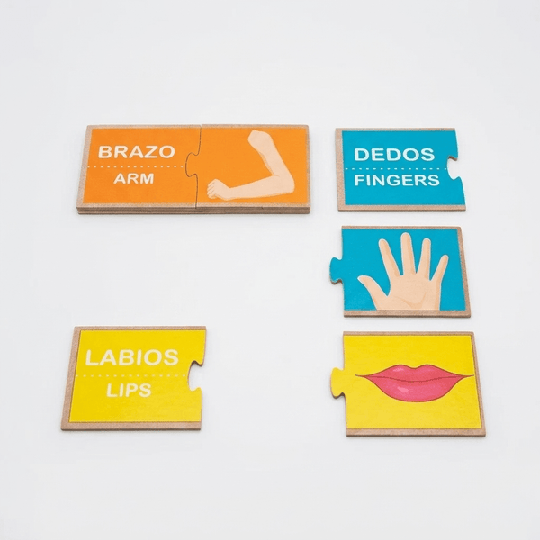 Juego Educativo Mi Cuerpo - Educativo - Toyng - Toyng Chile