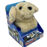 Peluche Slap - Buddy 20 cm Perro Golden - Toyng - Toyng Chile