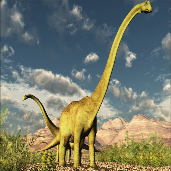 Puzzle Brachiosaurus Colección Jurásica (100 Piezas) - Toyng - Toyng Chile