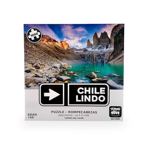 Puzzle Rompecabezas Torres del Paine (1000) Piezas - Toyng - Toyng Chile